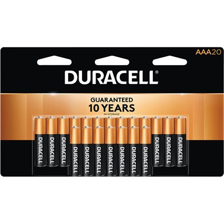 Coppertop Alkaline Batteries AA box of 20