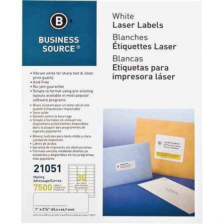 Premium Mailing Labels Package of 250 sheets 1 x 2-5 / 8 in. (7500)