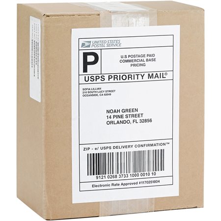 Premium Mailing Labels Package of 100 sheets 5-1 / 2 x 8-1 / 2 in. (200)