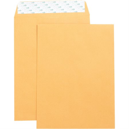 Enveloppe autocollant pour catalogue Kraft. Boîte de 250. 9 x 12 po.