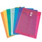 Translucent Polyethylene Envelope 9-3 / 4 x 13-1 / 2 in. Vertical opening. assorted colours