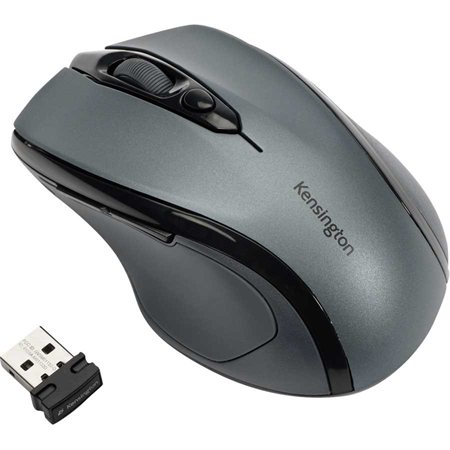 Souris sans fil Pro Fit® nano USB gris