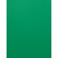 Papier couverture EarthChoice® Hots® vert