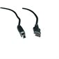 Series A / B USB Cable USB 2.0 10'