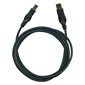 Series A male / B male USB Cable