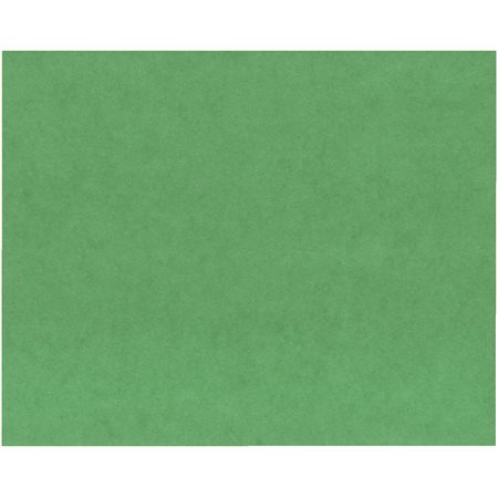 Colour cardstock dark green