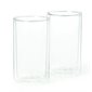 RICARDO BOUBLE WALL GLASSES (2)