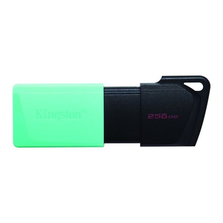 Clé USB DataTraveler Exodia M 256 Go