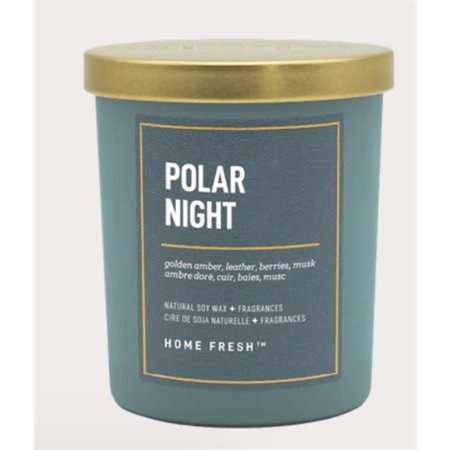 POLAR NIGHT 1 WICK CANDLE