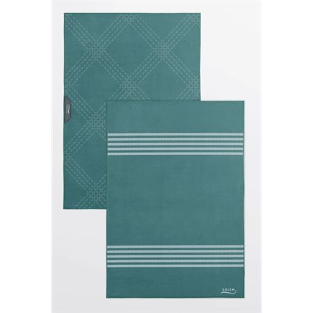 GLASS AND MIRROR CLOTHS (PQT 2) - ESSENTIAL GREEN