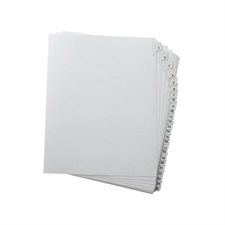 Quest Numerical Litigation Index Dividers 13 to 25 #20