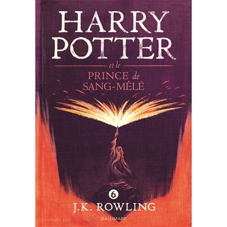 Harry Potter et le prince de Sang-Mêlé, Tome 6, Harry Potter