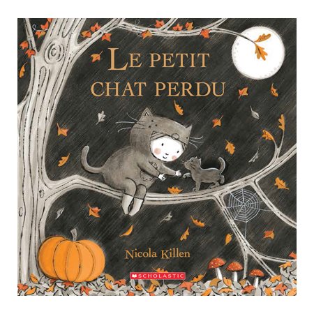 Le petit chat perdu