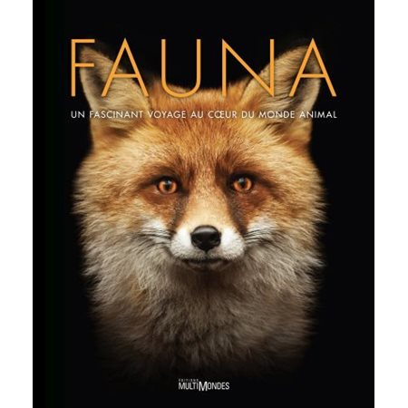 Fauna  1X ( / N / R) BRISÉ