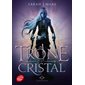 L''assassineuse, Le Trône de Cristal, tome 1