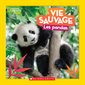 Vie Sauvage: Les pandas