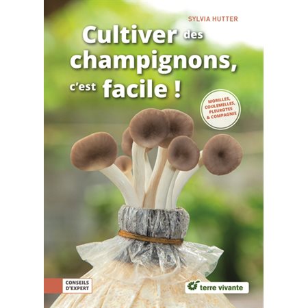 Cultiver des champignons, c''est facile ! : pleurotes, shiitakés & compagnie