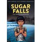 Sugar Falls, une histoire de pensionnat