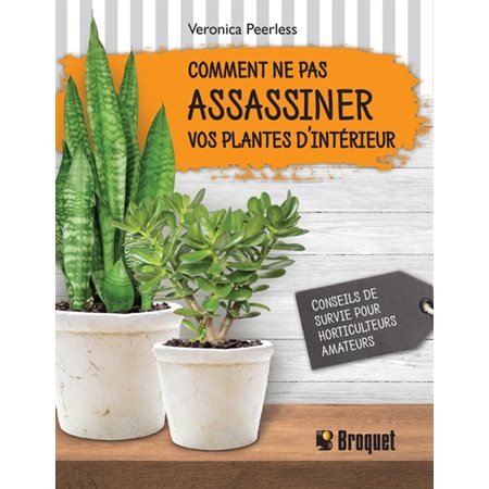 Comment ne pas assassiner vos plantes d''intérieur : Conseils de survie pour horticulteurs amateurs