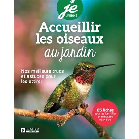 Accueillir les oiseaux au jardin : nos meilleurs trucs et astuces pour les attirer