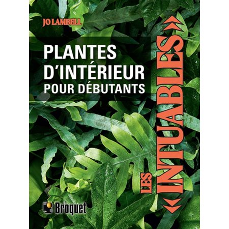 Les Intuables : Plantes d’intérieur pour débutants