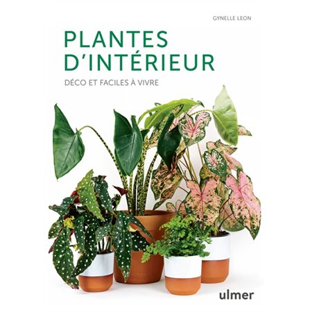 Plantes d'intérieur