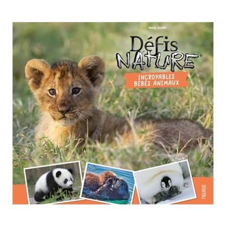 Incroyables bébés animaux, Défis nature