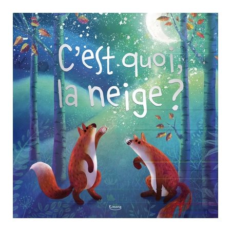 C'est quoi, la neige ?