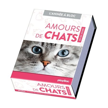 Amours de chats : en 365 jours, L'année à bloc