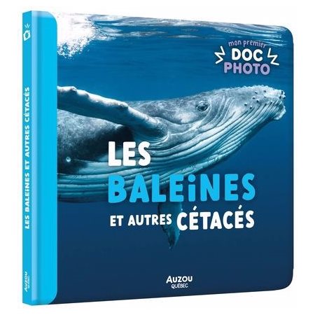 Les baleines et autres cétacés, Mon premier doc photo