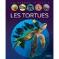 Les tortues, La grande imagerie