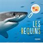 Les requins, Zoom !