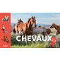 Les chevaux de A à Z