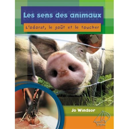 Les sens des animaux : l'odorat, le goût et le toucher