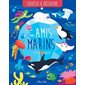 Tes amis marins, Soulève & découvre