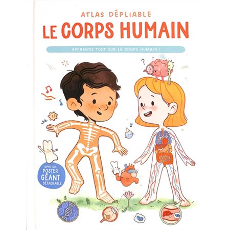 Le corps humain : atlas dépliable