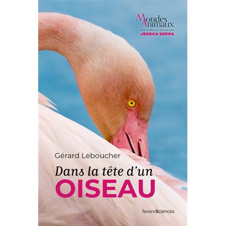 Dans la tête d'un oiseau, Mondes animaux