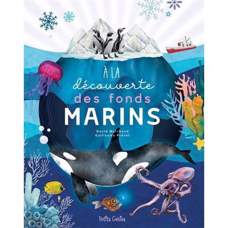 À la découverte des fonds marins