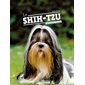 Le shih-tzu