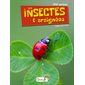 Les insectes & araignées, P'tit curieux