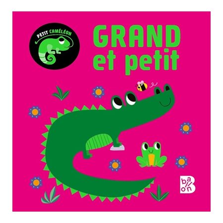 Grand et petit, Petit caméléon