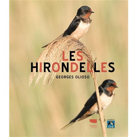 Les hirondelles