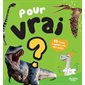 15 faits rigolos sur les dinosaures, Pour vrai?