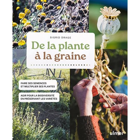 De la plante à la graine