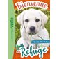 Un labrador en or, Bienvenue au refuge, 8