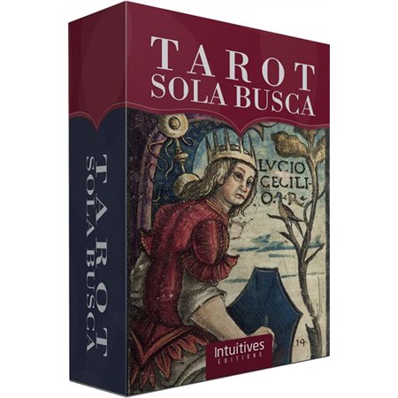 Tarot Sola Busca, Lo scarabeo