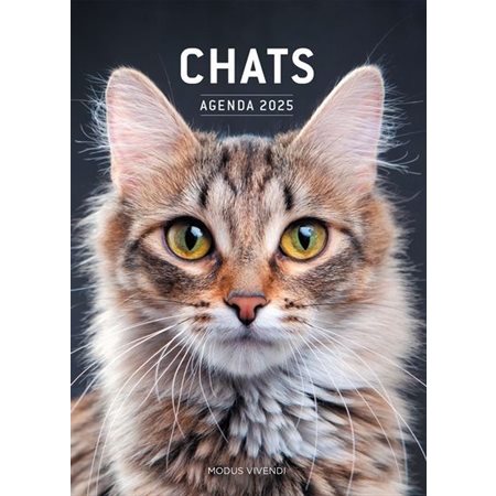 Chats - Agenda 2025