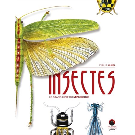 Insectes : le grand livre du minuscule