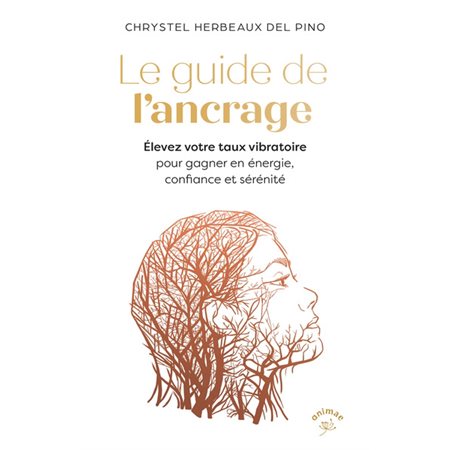 Le guide de l'ancrage