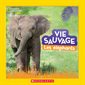 Les éléphants, Vie sauvage